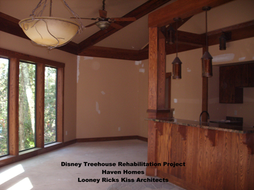 Disney Treehouse Rehabilitation Project